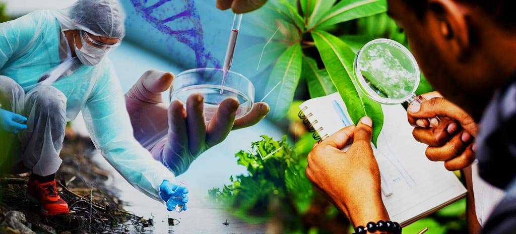 Ciencias-Biologicas-1-1