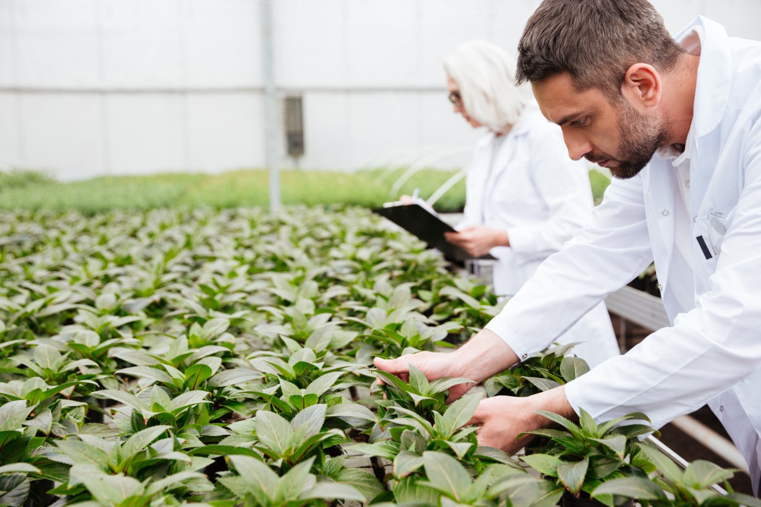 Engenharia-Agronomica-1